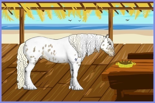 Horse Color:Liver Red Dun Ice Tobiano Appaloosa 