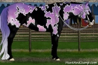 Horse Color:Watercolor White Spotted Brown Splash 