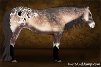 Horse Color:Liver Red Onyx Ice Appaloosa 
