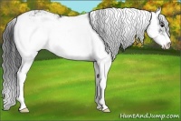 Horse Color:Black Sabino 