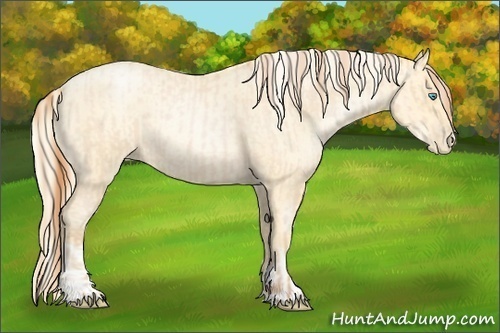Horse Color:Buckskin Roan Pearl  and Palomino Roan Pearl 
