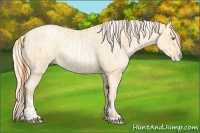 Horse Color:Buckskin Roan Pearl  and Palomino Roan Pearl 