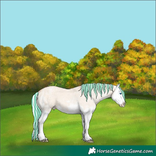 Horse Color:Painted Silver Amber Champagne Ice Dun Splash