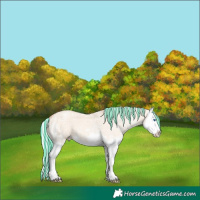 Horse Color:Painted Silver Amber Champagne Ice Dun Splash 