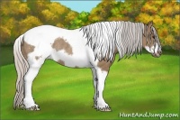 Horse Color:Silver Brown Dun Tobiano Frame Rabicano