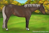 Horse Color:Silver Brown 