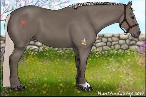 Horse Color:Silver Black