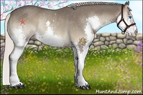 Horse Color:Silver Blue Onyx Splash Rabicano
