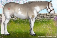 Horse Color:Silver Blue Onyx Splash Rabicano 