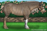 Horse Color:Chocolate Palomino Rabicano