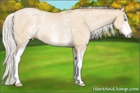 Horse Color:White Spotted Silver Buckskin Pearl Rabicano