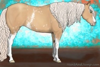 Horse Color:White Spotted Silver Classic Champagne