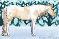 Horse Color:White Spotted Red Dun Pearl Tobiano