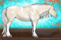 Horse Color:White Spotted Silver Smoky Grullo Pearl Tobiano