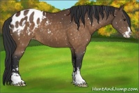 Horse Color:Brown Sabino Blanket