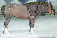 Horse Color:Liver Chestnut Sabino Snowflake Varnish 