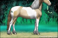 Horse Color:Grullo Pearl Sabino Tobiano Rabicano 