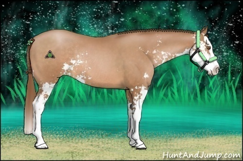 Horse Color:Brown Pearl Sabino Splash Rabicano 