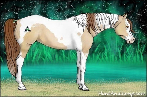 Horse Color:Brown Pearl Dun Sabino Splash Tobiano 