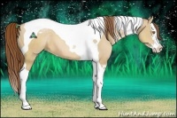 Horse Color:Brown Pearl Dun Sabino Splash Tobiano 