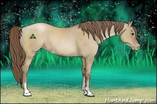 Horse Color:Grullo Pearl Sabino