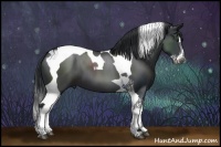 Horse Color:Black Chinchilla Sabino Splash Tobiano 