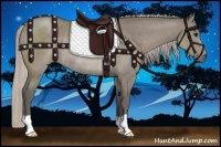 Horse Color:Silver Grullo Rabicano 