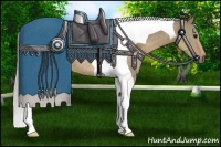 Horse Color:Silver Smoky Grullo Tobiano 