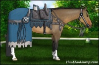 Horse Color:Brown Dun