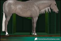 Horse Color:Silver Black 