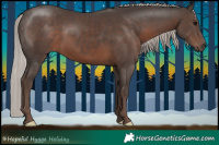 Horse Color:Silver Black 