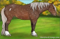 Horse Color:Silver Brown Snowflake Varnish