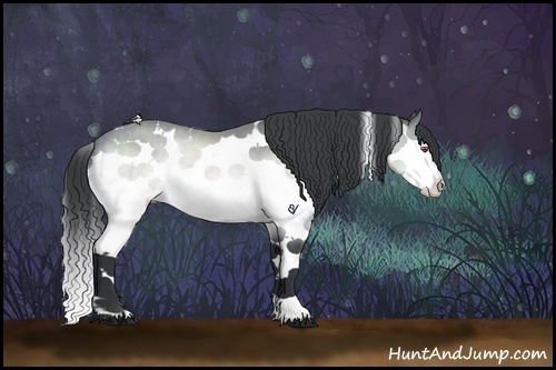 Horse Color:Bay Chinchilla Sabino