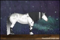Horse Color:Bay Chinchilla Sabino