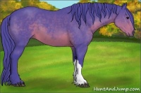 Horse Color:Watercolor Brown 
