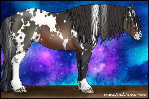 Horse Color:White Spotted Brown Sabino 