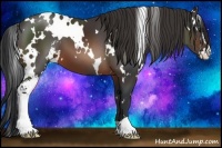 Horse Color:White Spotted Brown Sabino