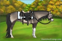 Horse Color:Smoky Blue Onyx 