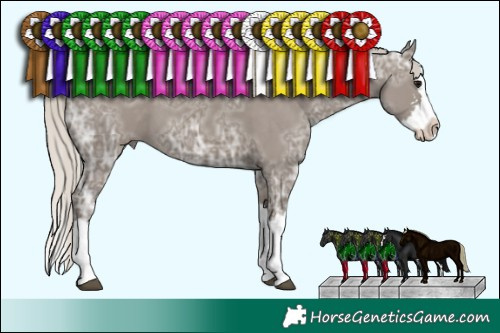 Horse Color:Silver Grullo Ice Sabino Splash 