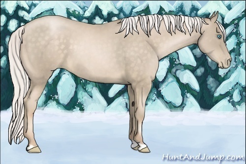 Horse Color:Silver Buckskin Pearl 