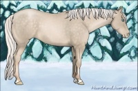 Horse Color:Silver Buckskin Pearl