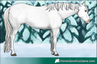 Horse Color:Liver Chestnut Mushroom Tobiano Appaloosa Rabicano 