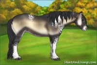 Horse Color:White Spotted Brown Onyx Rabicano 