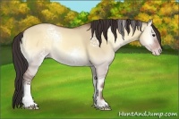 Horse Color:White Spotted Sable Champagne Onyx Rabicano 