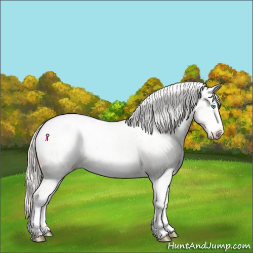 Horse Color:Silver Sable Cream Champagne Pearl Dun Sabino Blanket 