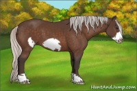 Horse Color:Silver Brown Frame 