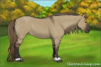 Horse Color:Liver Red Dun 