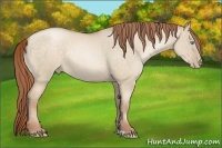 Horse Color:Buckskin Roan Pearl Dun Rabicano 