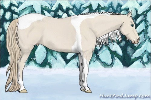 Horse Color:Smoky Creme Tobiano 