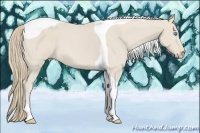 Horse Color:Smoky Creme Tobiano